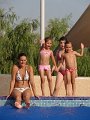 DSC00415 01